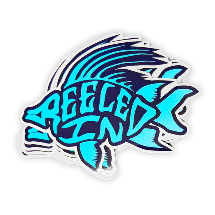 Reeled In hogfish sticker in blue